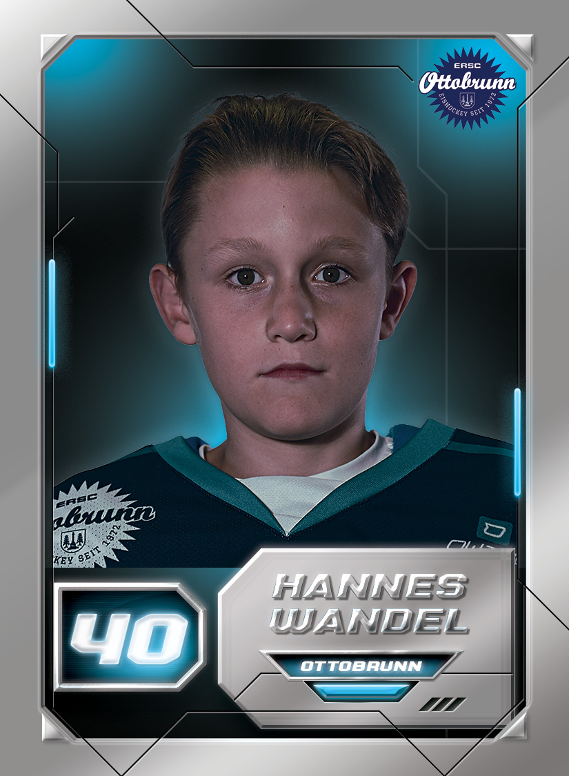 Hannes Wandel