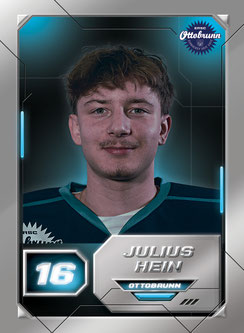 Julius Hein
