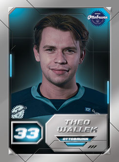 Theo Wallek