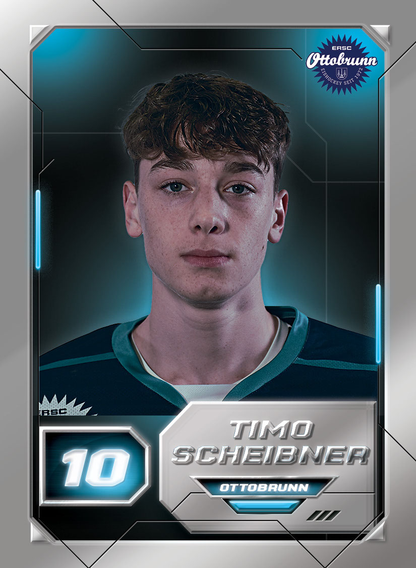 Timo Scheibner